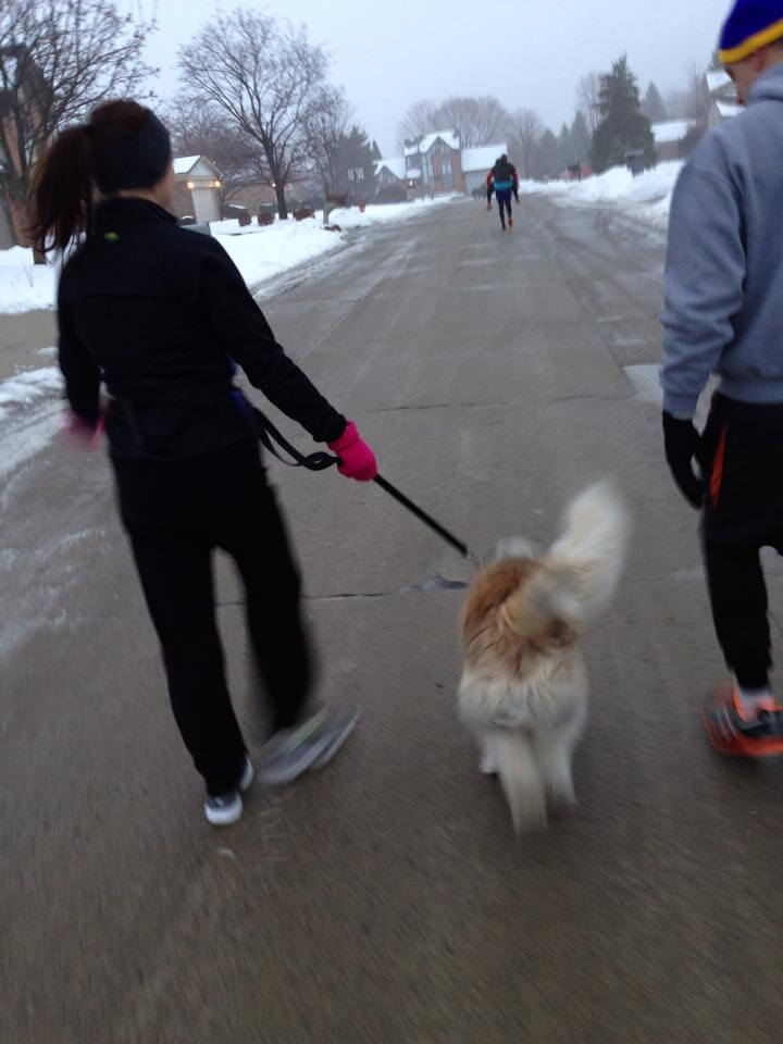 leading the dog